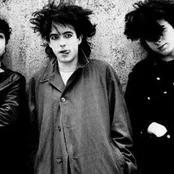 The Cure