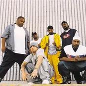 D12