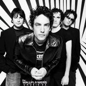 The Wallflowers