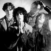 the verve