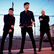 the script