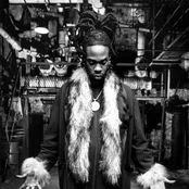 busta rhymes