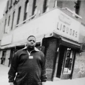 the notorious b.i.g.