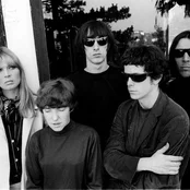 the velvet underground